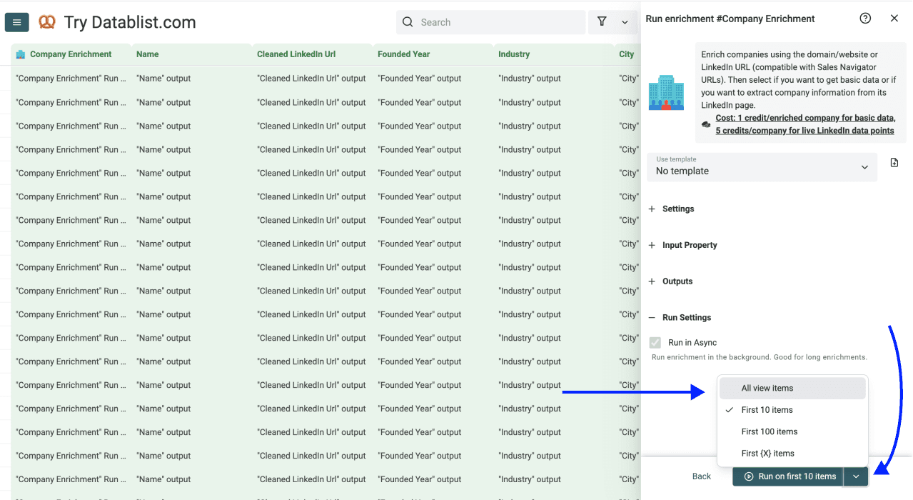 Enrich Company Data From Company Names - Company Enrichment Run Settings