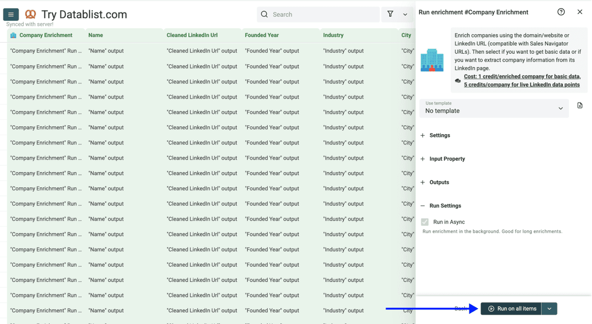 Enrich Company Data From Company Names - Company Enrichment Run