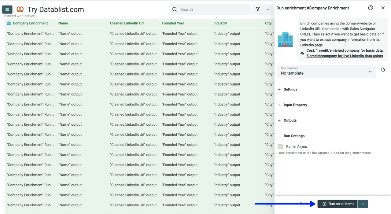 Enrich Company Data From Company Names - Company Enrichment Run