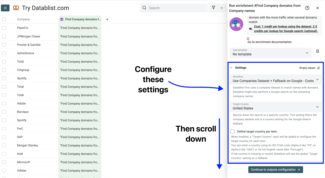 Enrich Company Data From Company Names - Website Finder Settings