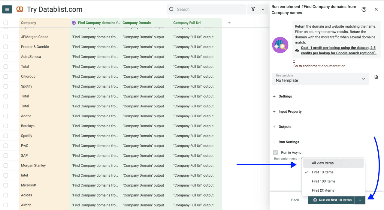 Enrich Company Data From Company Names - Website Finder Run Settings