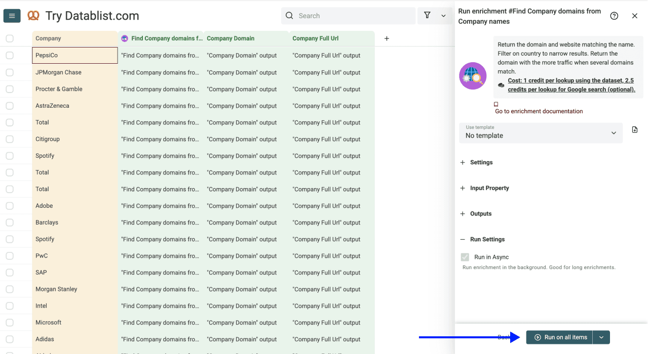 Enrich Company Data From Company Names - Website Finder Run