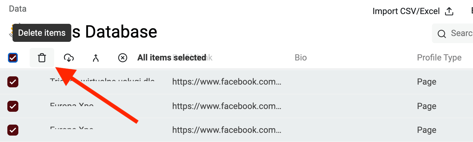 Eliminar leads "Page" indesejados