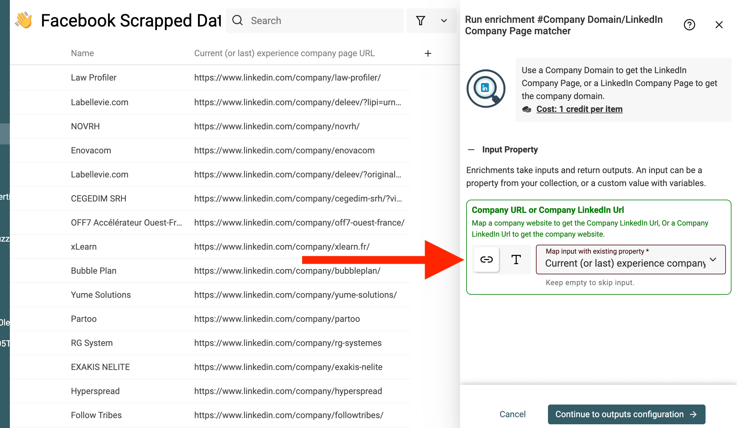Inputs do LinkedIn Domain Lookup