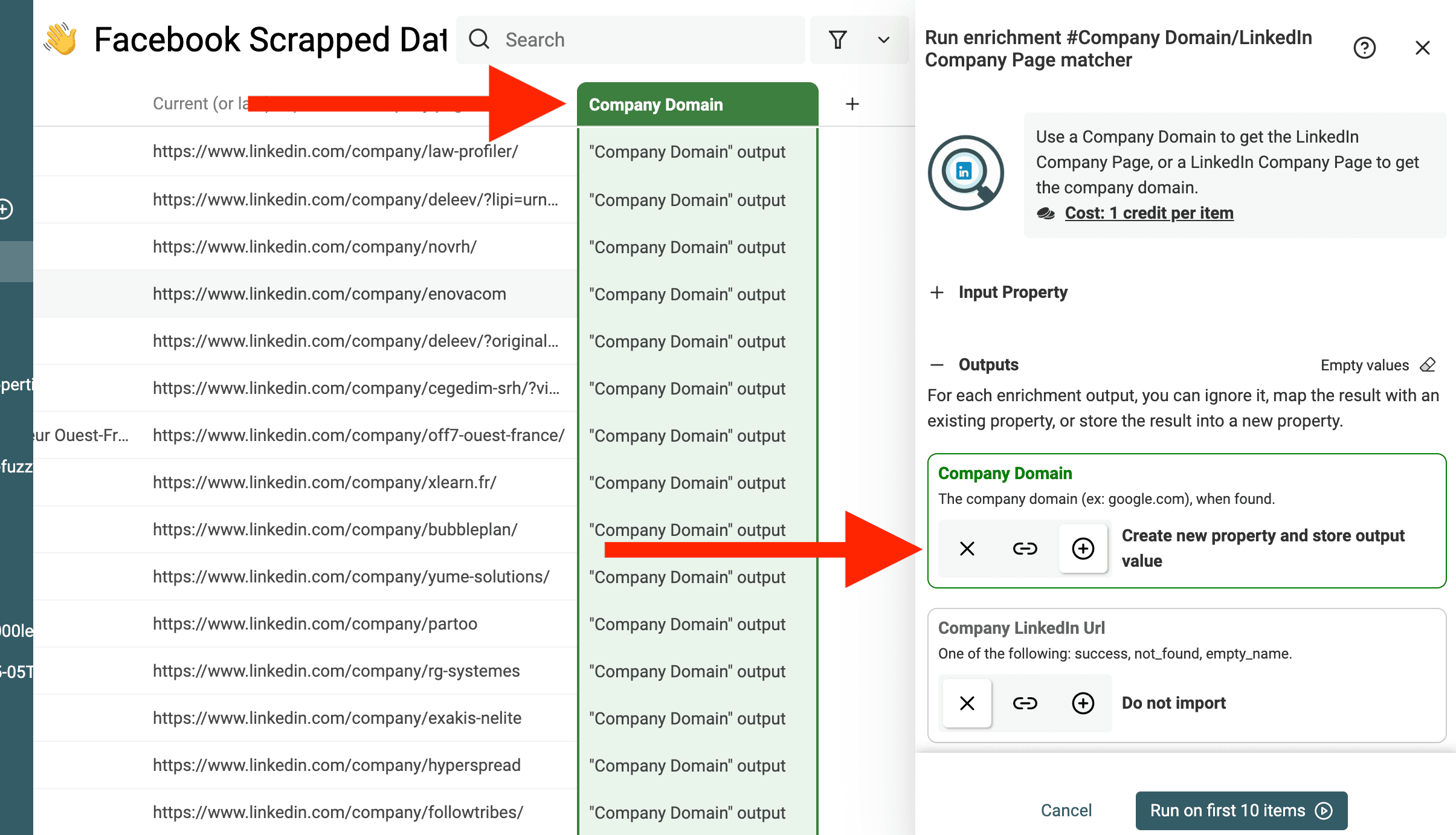 Outputs do LinkedIn Domain Lookup