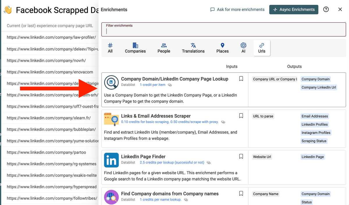 LinkedIn Page - Domain Lookup