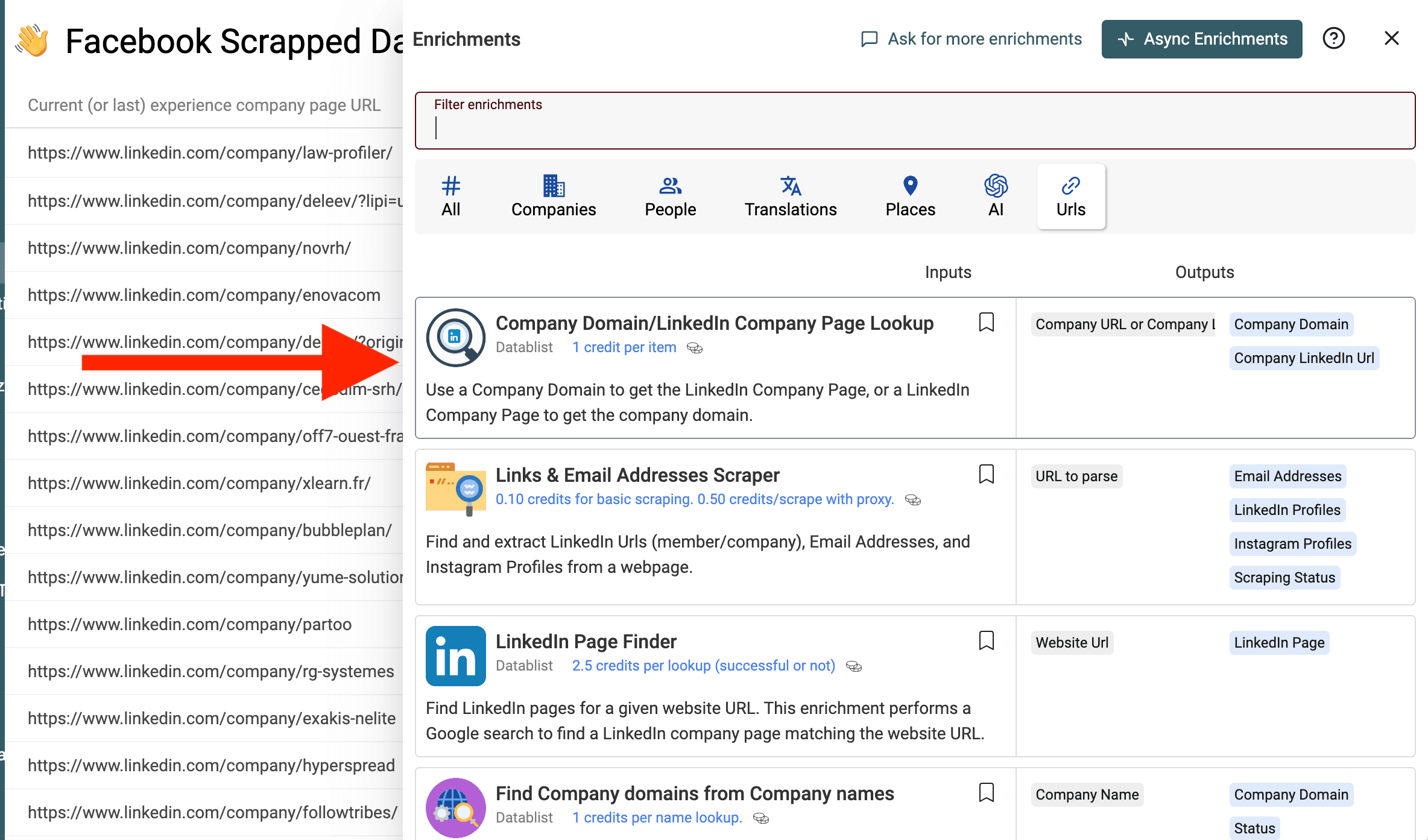 LinkedIn Page — Domain Lookup