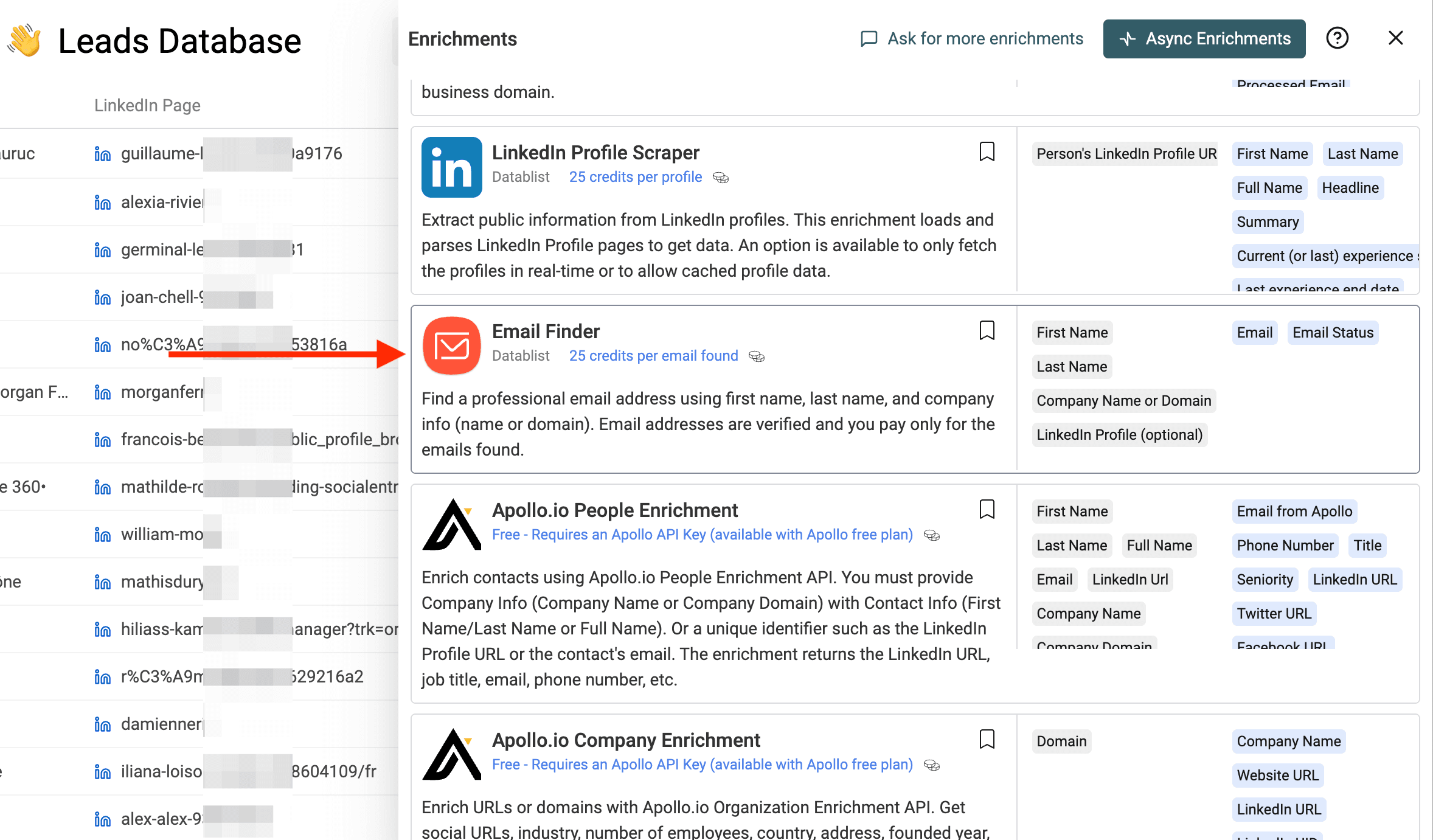 Enrichment Email Finder
