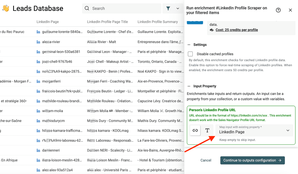 LinkedIn Profile Scraper Inputs