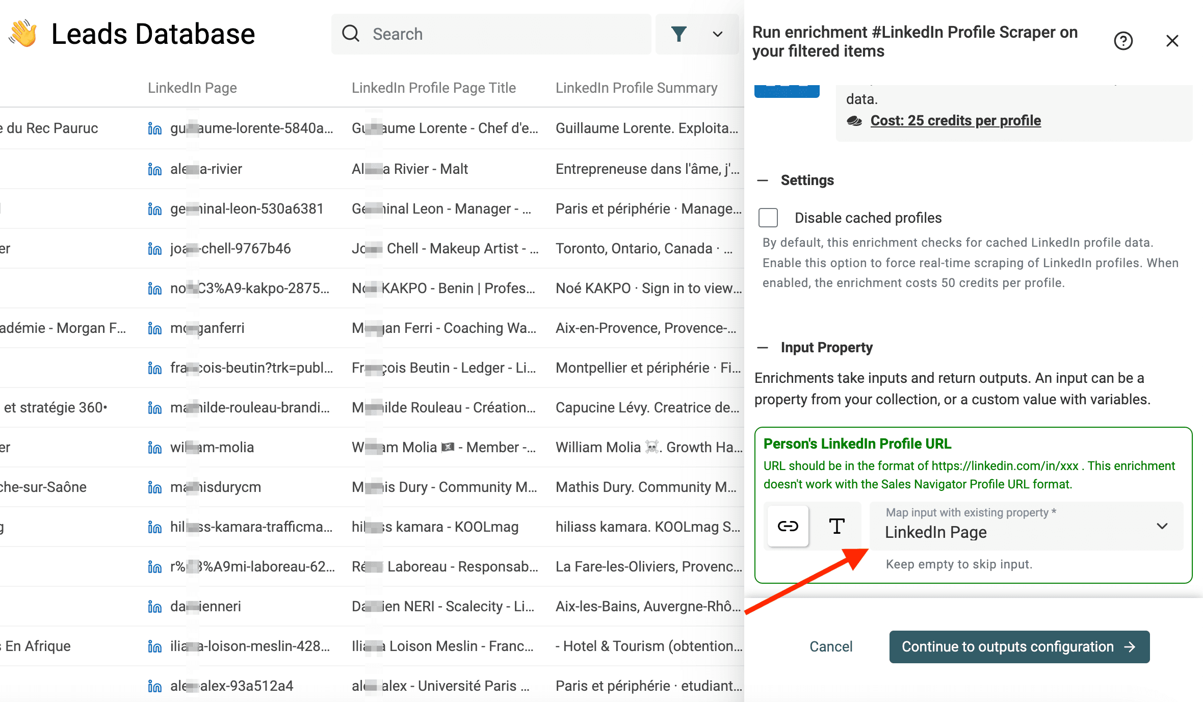 Inputs do LinkedIn Profile Scraper