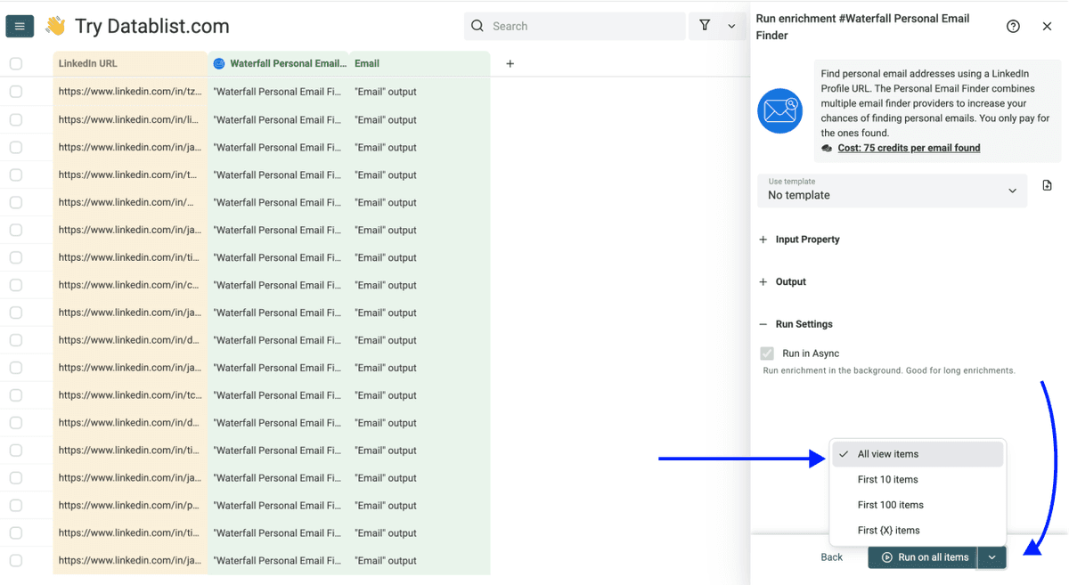 How To Find a Candidate's Email - Run Settings