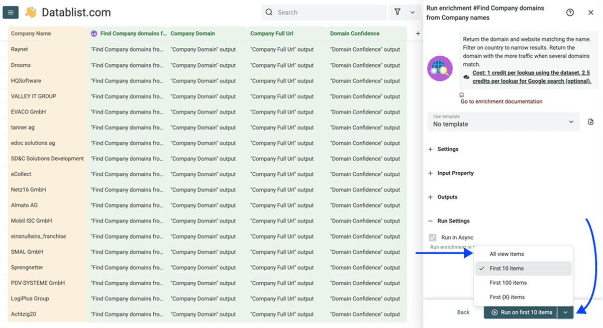 Choose how many company rows to process