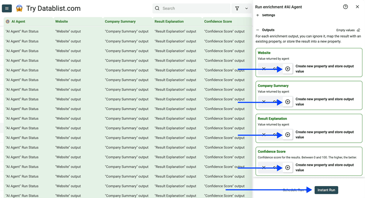 Select the AI Agent website, explanation, and confidence outputs
