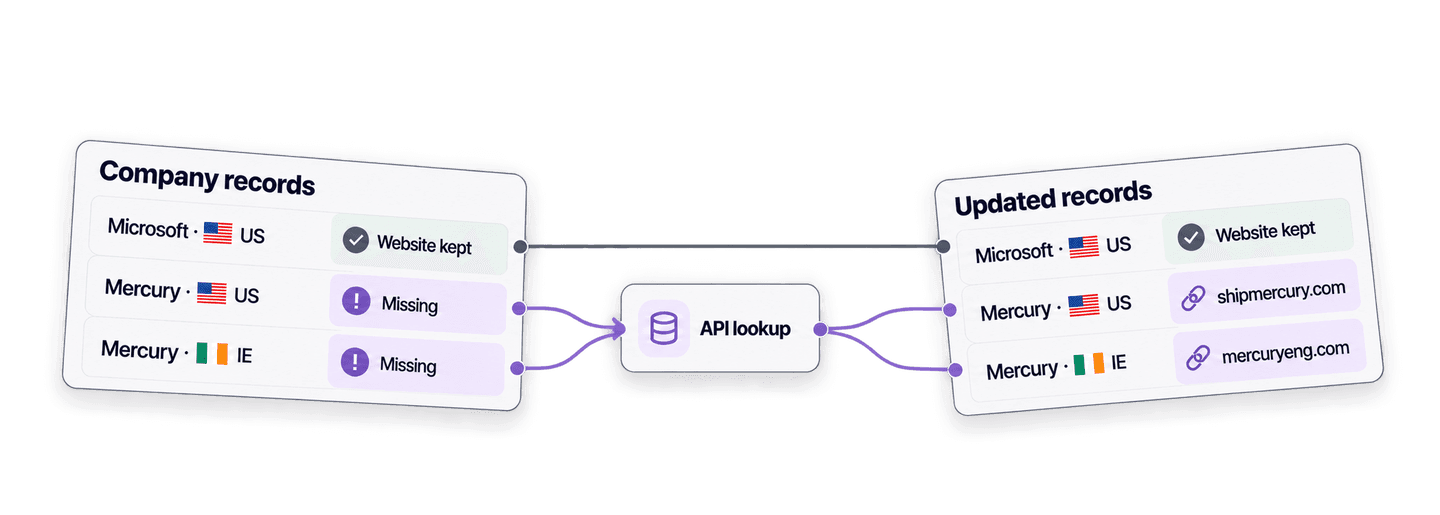 How to Find Company Websites from Company Names in Python Using an API