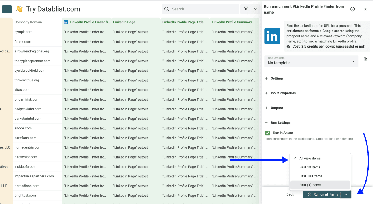 通过姓名查找电话号码 - LinkedIn Finder 运行设置