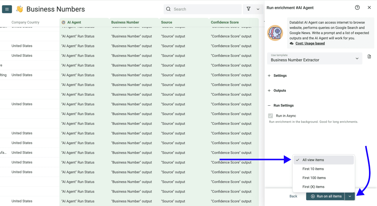 2 New Ways to Find Phone Numbers With Datablist - AI Agent Run Settings