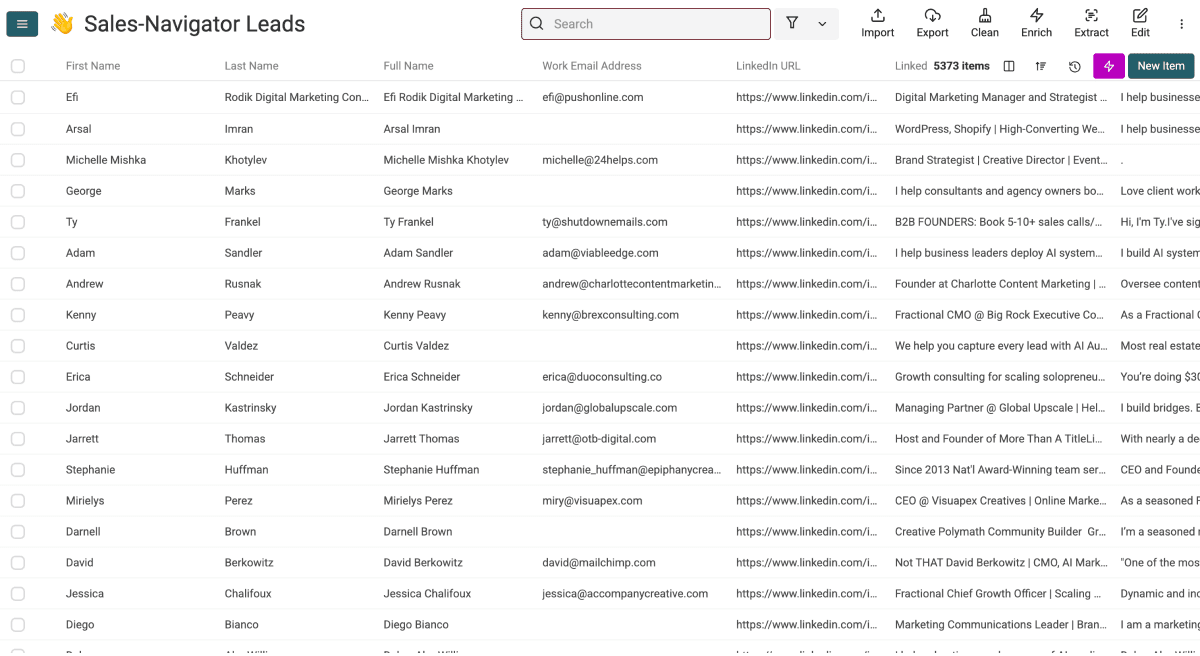What Is Lead Scraping - Lead List Example