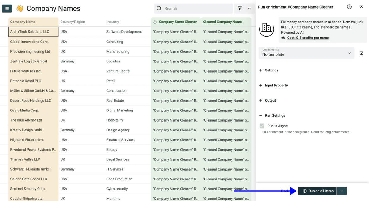 How To Normalize Company Names For Cold Outreach - Run Settings