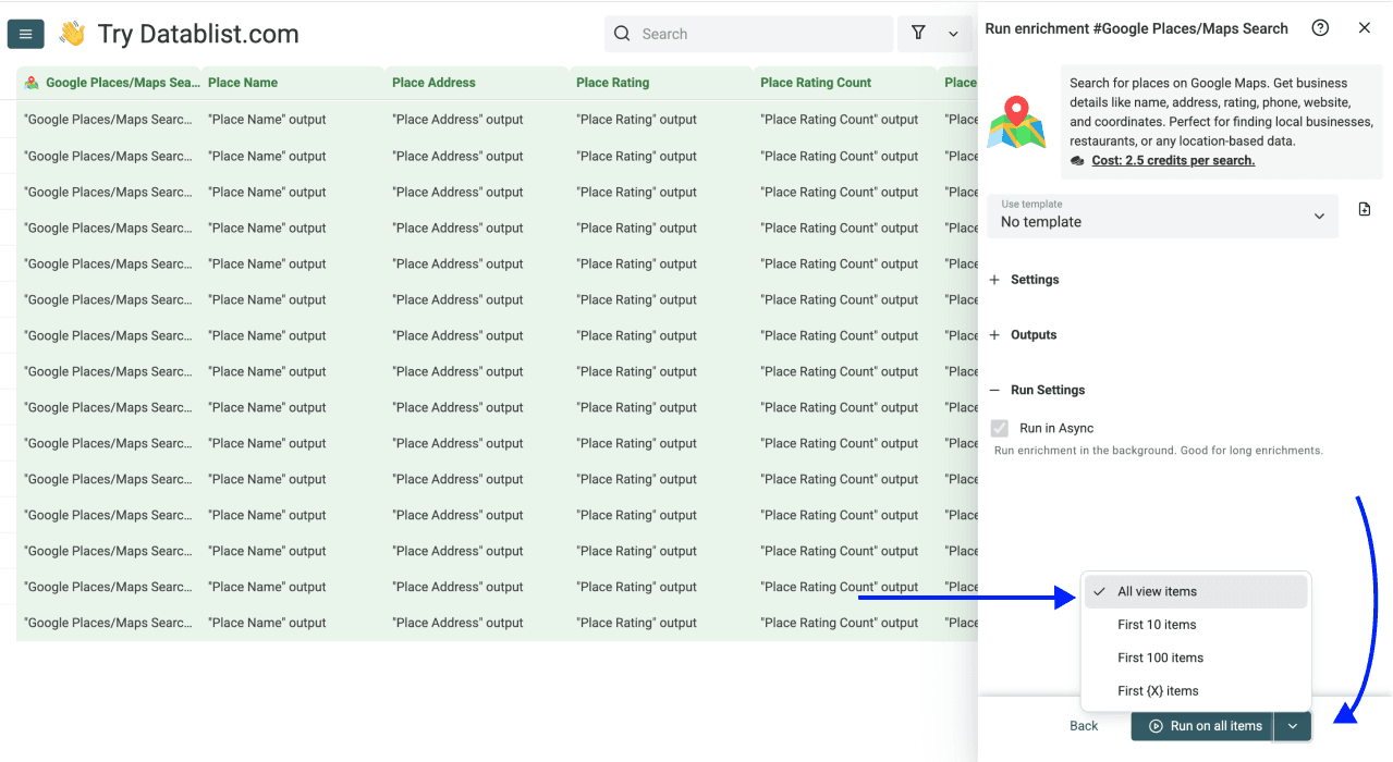 How To Find Businesses on Google Maps in Reverse - Run Settings