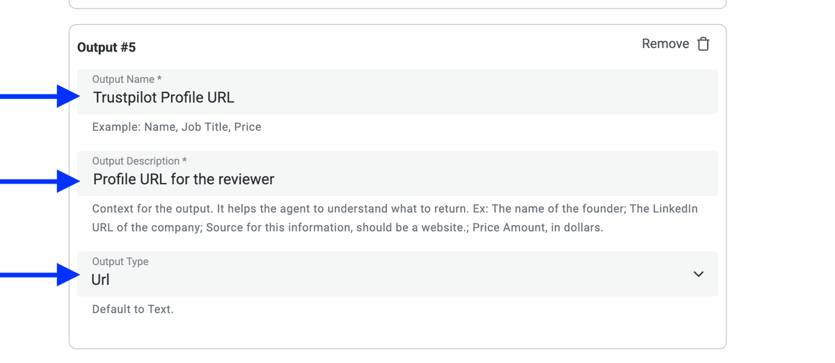 URL du profil du reviewer Trustpilot