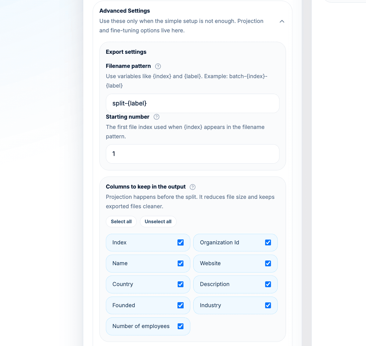 Advanced CSV Splitter export settings with filename pattern and selected columns