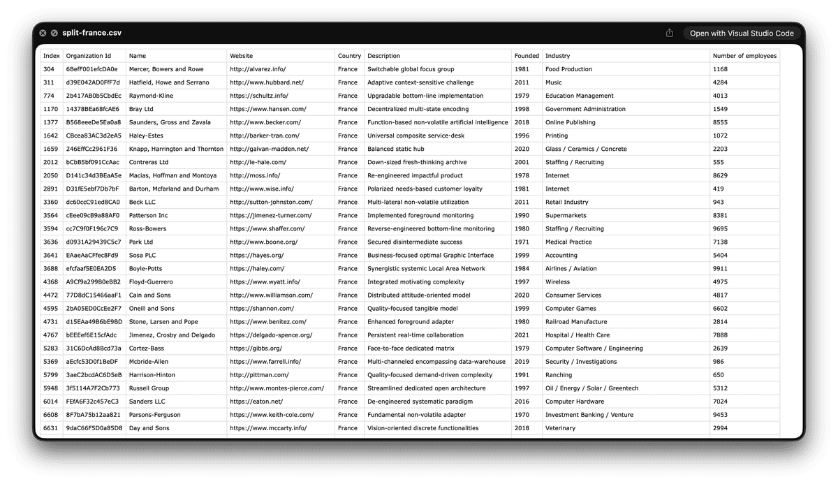 France CSV output file opened after splitting by country