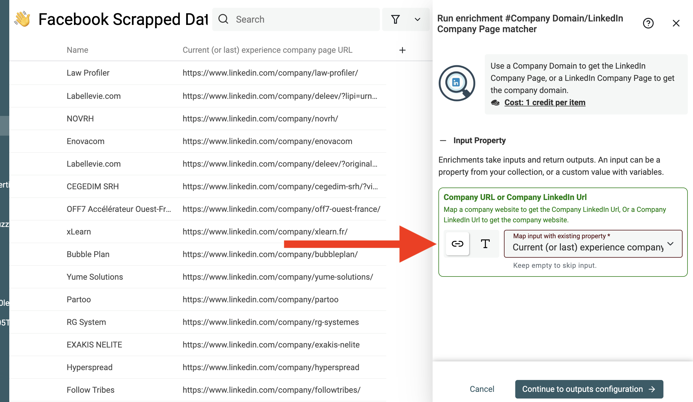 LinkedIn Domain Lookup Inputs