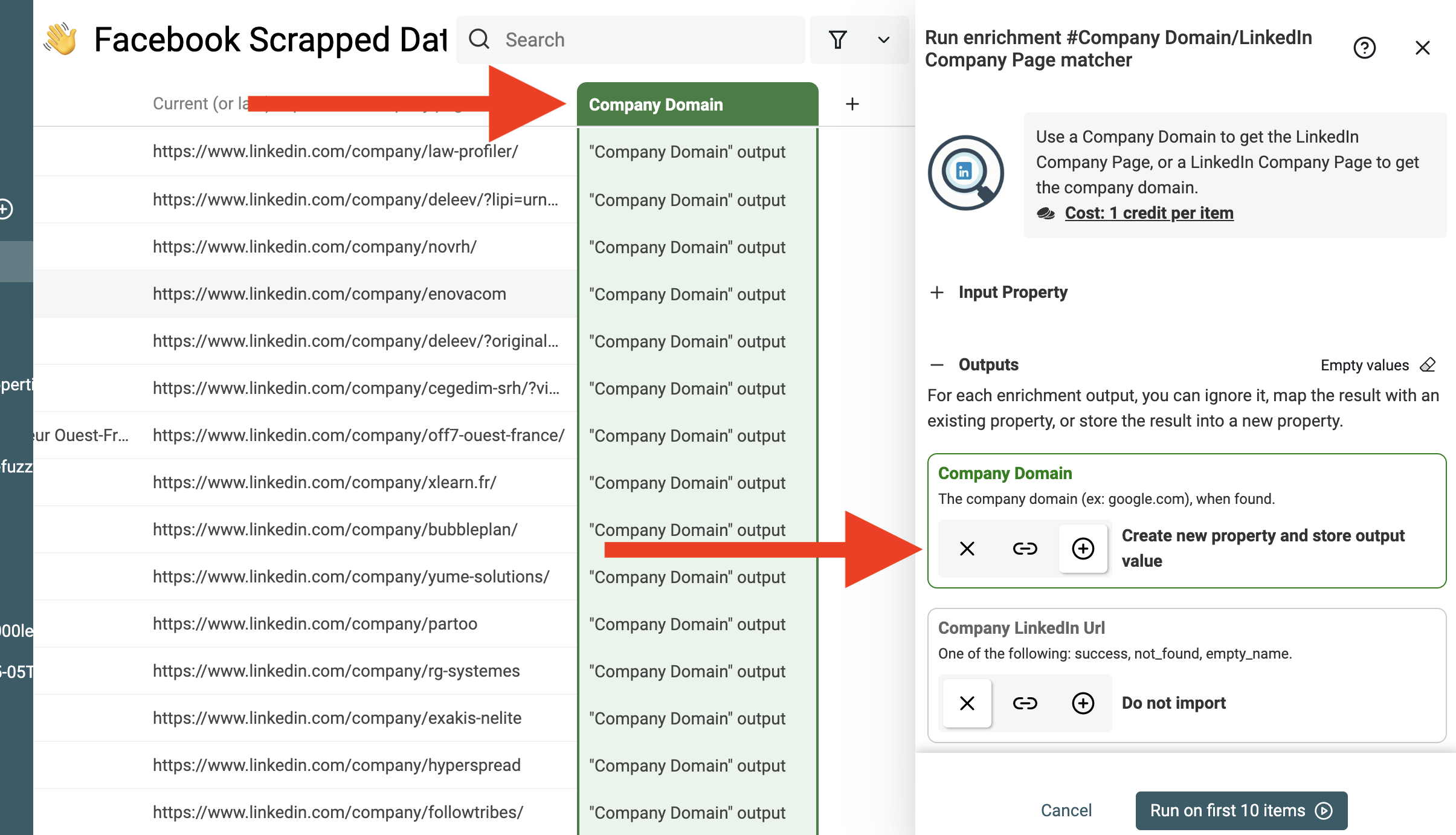 LinkedIn Domain Lookup Outputs