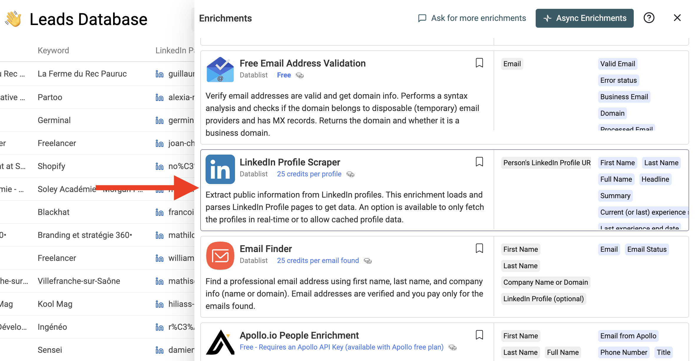 LinkedIn Profile Scraper