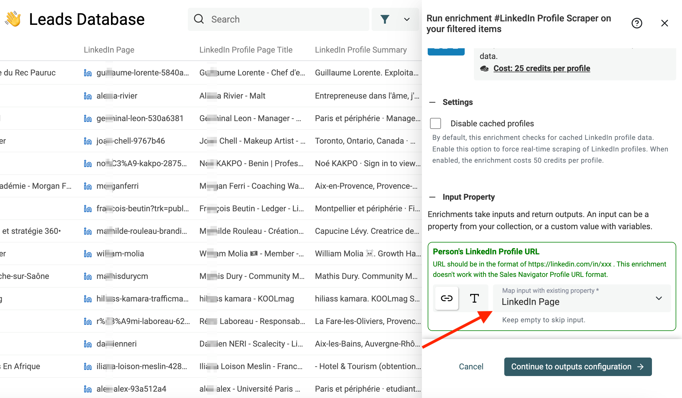 LinkedIn Profile Scraper Inputs